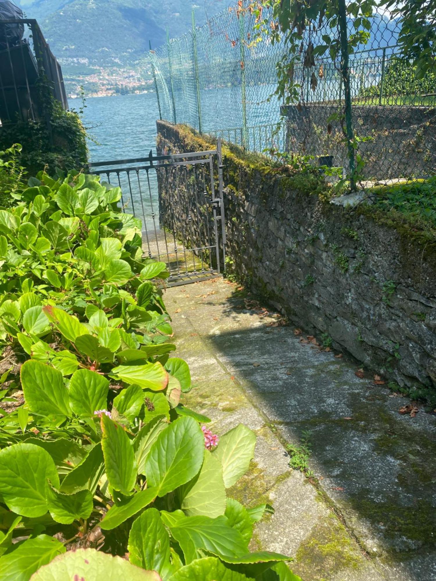 Peonia Apartment - Appartamento Vista Lago 레체노 외부 사진