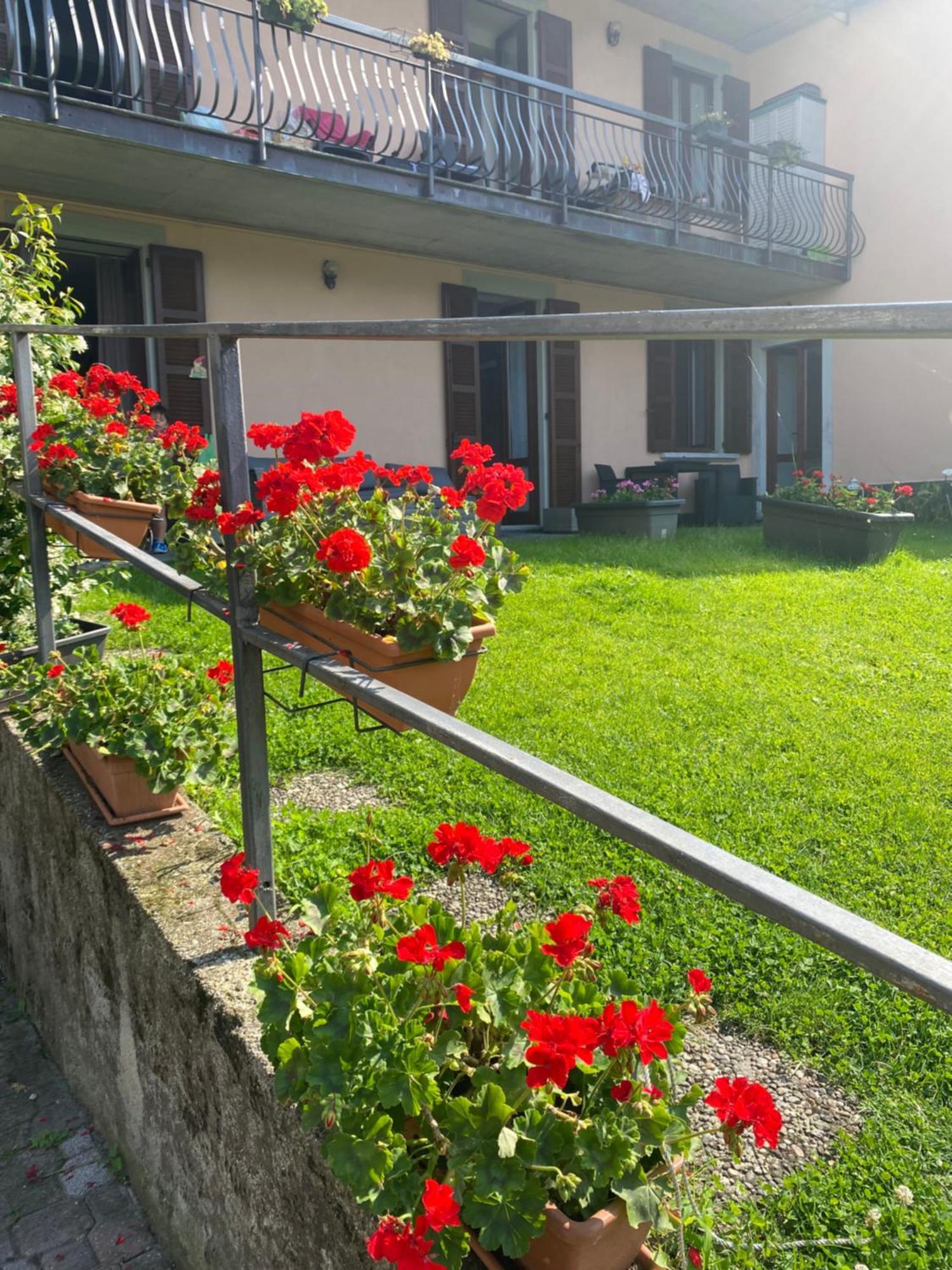 Peonia Apartment - Appartamento Vista Lago 레체노 외부 사진