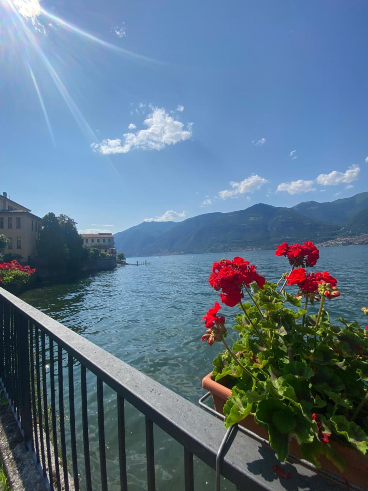 Peonia Apartment - Appartamento Vista Lago 레체노 외부 사진