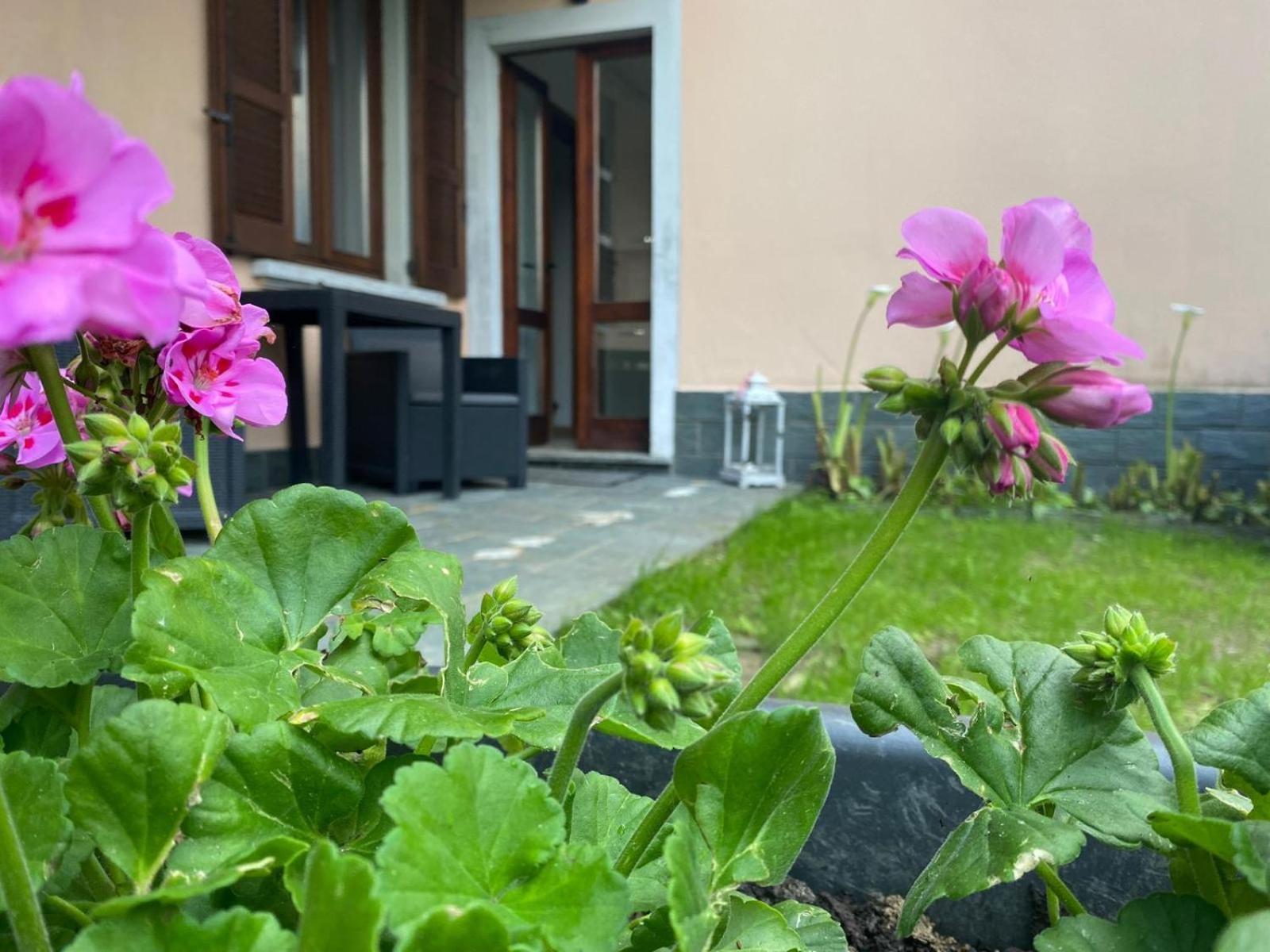 Peonia Apartment - Appartamento Vista Lago 레체노 외부 사진
